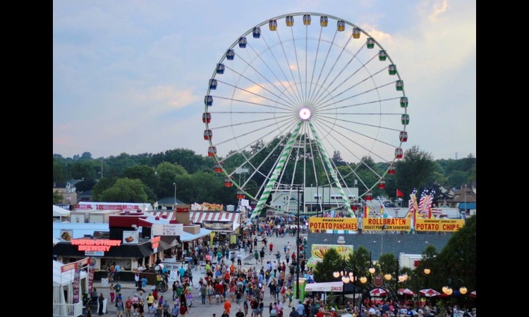 UAE: 6 Fun Things to Do in this Weekend